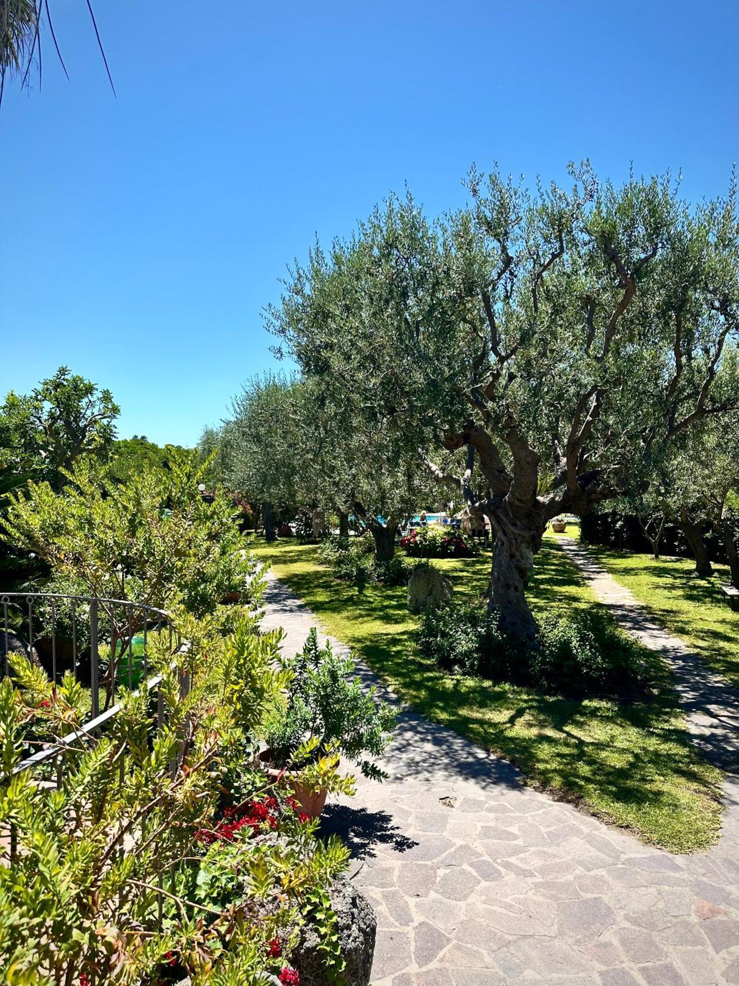 Hotel Boutique Ischia Exterior photo