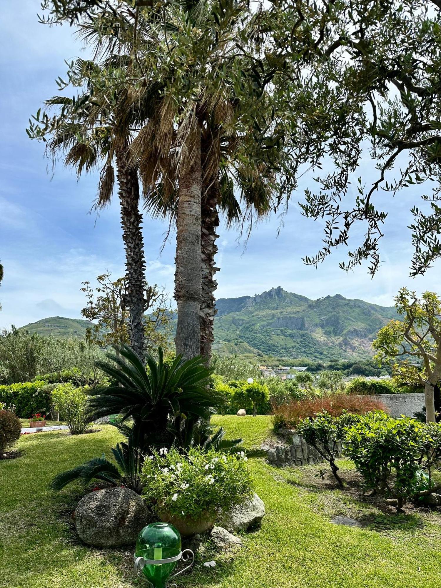 Hotel Boutique Ischia Exterior photo